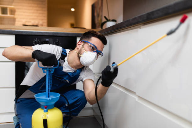 Best Affordable Pest Control Services  in Beaver Creek, TX