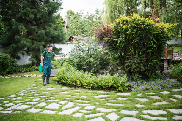 Best Pest Control Cost  in Beaver Creek, TX