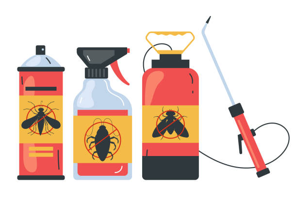 Best Exterminator Services  in Beaver Creek, TX