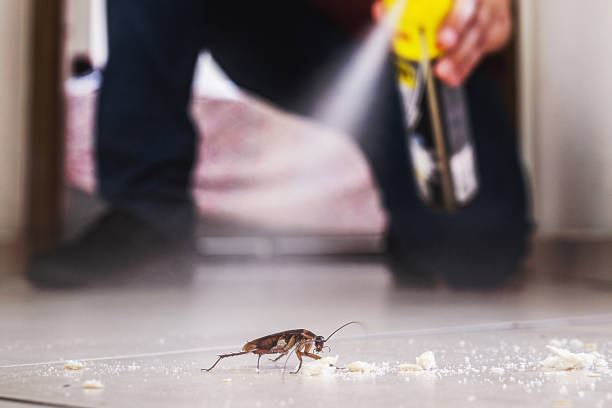 Best Commercial Pest Control Services  in Beaver Creek, TX